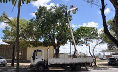 Reposição  de lâmpadas integra organização do espaço universitário