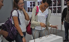 Brinquedo de Coordenacao motora