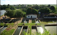 Núcleo de Piscicultura do Ceca