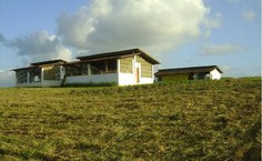 Setor de Suinocultura do Ceca