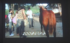 Ações do projeto com a comunidade