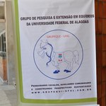 Vergel do Lago é contemplado pelo Projeto Carroceiro VET Legal