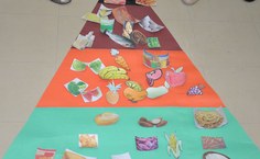 distribuem os vários tipos de alimentos e as proporções que devem ser ingeridas nas refeições de pessoas saudáveis