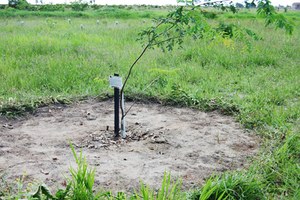 Bosque em Defesa da Vida é referência para familiares de vítimas de violência