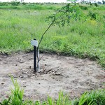 Bosque em Defesa da Vida é referência para familiares de vítimas de violência