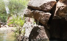 Nosso São Francisco, protegendo seu rio, de Elayne Pollyanna Alves da Silva