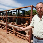 Unidade de Viçosa sedia seminário de Atualização em Nutrição Clínica de Equinos