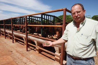 Professor Alexandre Gobesso, pesquisando nutrição e digestibilidade de equinos  na USP