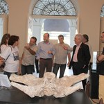 Gestores visitam exposição do Museu de História Natural da Ufal