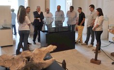 Equipe atenta às explicações dos pesquisadores sobre acervo