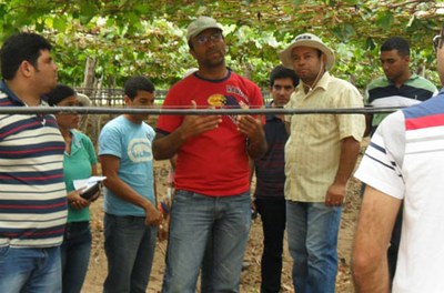 Técnicos da Fazenda Santa Elena expõem técnicas de cultivo de uva para alunos de Agronomia