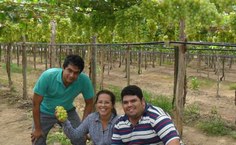 Alunos em aula prática próxima à área de cultivo de uva