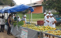 A feira agora será semanal, sempre às quartas-feiras