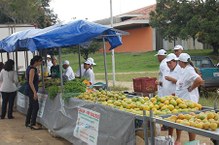 A feira agora será semanal, sempre às quartas-feiras