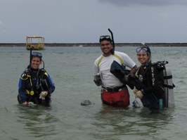 Pesquisa descobre quatro novas esponjas marinhas em Alagoas