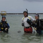 Pesquisa descobre quatro novas esponjas marinhas em Alagoas
