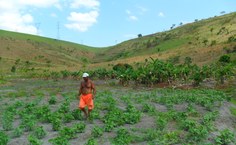 Pequenos agricultores resistem na terra - foto-Railton Teixeira MLST