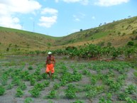 Pequenos agricultores resistem na terra - foto-Railton Teixeira MLST