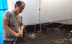 Professor Emerson Soares