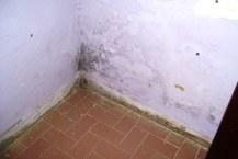 A umidade foi detectada em 84% das residências e se encontra, geralmente, na base das paredes de até um metro de altura, em relação à base