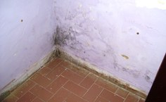 A umidade foi detectada em 84% das residências e se encontra, geralmente, na base das paredes de até um metro de altura, em relação à base