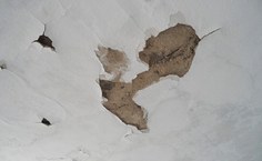 Infiltração em lajes foi detectada em 40% das residências pesquisadas. O número equivale à maior ocorrência em estruturas de concreto armado