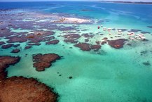 Área de Proteção Ambiental (APA)