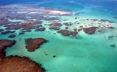 Área de Proteção Ambiental (APA)