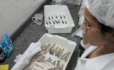 Márcia Souza em seu ambiente de pesquisa