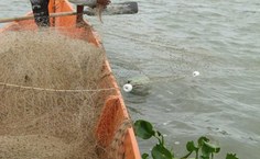 Pesquisa de campo tem a parceria de pescadores