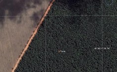 Torre fica a 400 metros de distância da borda da Mata Atlântica