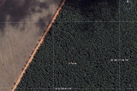Torre fica a 400 metros de distância da borda da Mata Atlântica