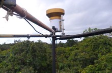 Trecho da torre de andaime instalada em fragmento da Mata Atlântica. A torre possui 24 metros de altura.