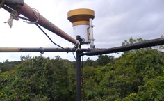 Trecho da torre de andaime instalada em fragmento da Mata Atlântica. A torre possui 24 metros de altura.