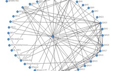 Interação com mediação do professor