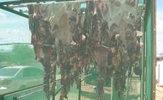 Cortes especiais regionais, servidos em restaurantes