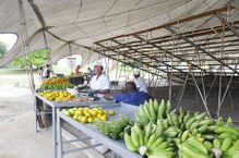 Iran diz que a feira já conquistou uma clientela