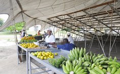 Iran diz que a feira já conquistou uma clientela