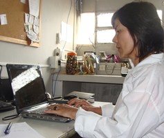 Fungo responsável por mortes de anfíbios é encontrado em Murici