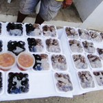 Projeto quer divulgar e valorizar o saber-fazer do doce-de-caju de Ipioca