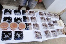 Os tipos de doces-de-caju produzidos em Ipioca