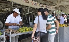 Feira trouxe alimentos sem agrotóxico produzidos em Arapiraca Branquinha e  Santana do Mundaú