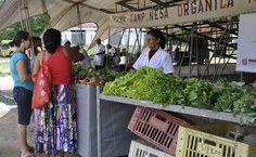 Alimentos sem agrotóxico produzidos em Arapiraca Branquinha e  Santana do Mundaú (2)