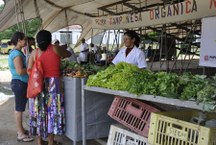 Alimentos sem agrotóxico produzidos em Arapiraca Branquinha e  Santana do Mundaú (2)