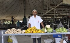 Produtos sem agrotóxicos são atração