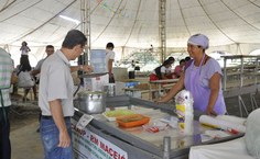 Servidores valorizam frutas e verduras livres de agrotóxicos