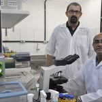 Pesquisa comprova eficácia de composto derivado de planta na cicatrização de feridas cutâneas