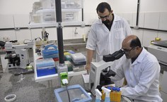 O professor Emiliano Barreto acompanhando Paulo Carvalho nos estudos científicos no Laboratório de Biologia Celular