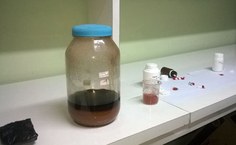 As etapas da pesquisa: do extrato bruto para o elixir, depois o pó e as cápsulas