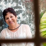 Pinacoteca Universitária apresenta Ninhos Urbanos